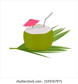 Vector illustration of young coconut drink straight from the fruit with umbrella accessories and coconut tree leaves