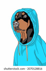 Vector Illustration of Young Doberman sits and looks with kind eyes. Big dog in blue hoody. Dog illustration. Doberman with shadow. Pet logo on white background. Black-brown puppy  