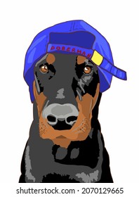 Vector Illustration of Young Doberman sits and looks with kind eyes. Big dog with blue baseball cap. Dog illustration. Doberman with shadow. Pet logo on white background. Black-brown puppy  