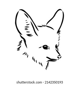 Vector illustration of a young fennec fox walking. fox fenek vector sketch