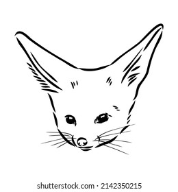 Vector illustration of a young fennec fox walking. fox fenek vector sketch