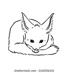 Vektorgrafik eines jungen Fennec-Fuchses beim Gehen. Fuchsfenekskizze
