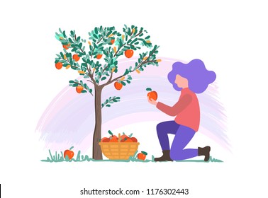 vector illustration of a young girl picking apples in the garden, harvesting flat design
