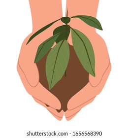 Dibujo vectorial de una planta y suelo jóvenes en las manos. Esplandor y manos humanas aisladas en fondo blanco.