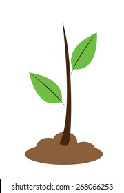 Vector illustration of a young plant with two leaves on soil isolated on white