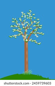 Ilustración vectorial de un árbol joven que florece en la temporada de primavera.