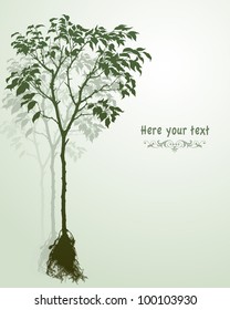 Vector illustration of a young tree with roots. Adobe Illustrator 8.