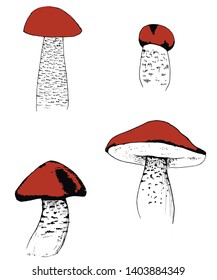 Vector illustration for your business