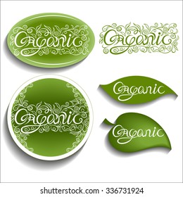 Vector illustration for your design. Lettering. Organic