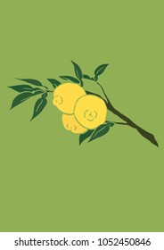 Vector Illustration. Yuja (Korean citron) illustration with color.