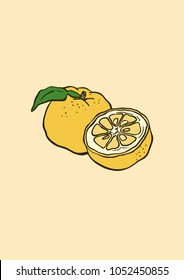 Vector Illustration. Yuja (Korean citron)  illustration with color.