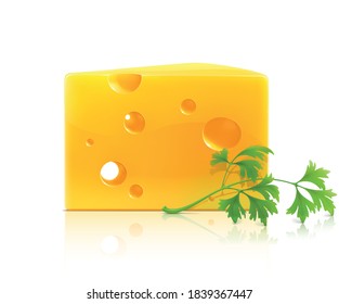 Ilustración vectorial de un delicioso pedazo de queso con un espiral de perejil.