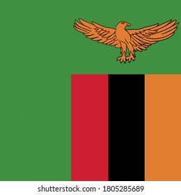 vector illustration of Zambia flag
