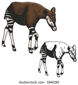 Vector illustration of a zebra.