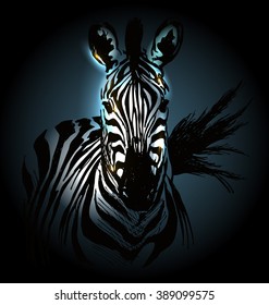 Vector illustration of zebra