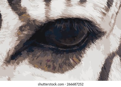 Vector illustration of zebra eye. Oil painting style.