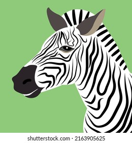 ilustración vectorial de la cabeza de cebra aislada en fondo verde