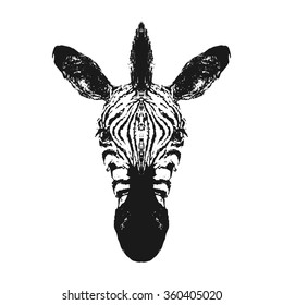Vector illustration of a Zebra head. Isolated on a white background.
