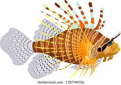 Vector Illustration of Zebra Lionfish