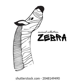 Vector illustration of a zebra. Modern stylization of the animal. Zoo animal. Zebra head linear drawing. Animal sketch