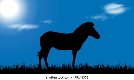 Vector illustration of a zebra on meadow at sunny day.