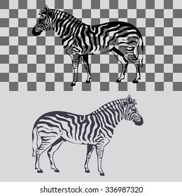 Vector illustration of a zebra on a staggered and isolated background. EPS 8.