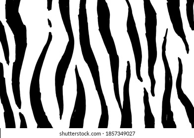 Vector illustration of a Zebra pattern, black curved vertical irregular stripes on a white background