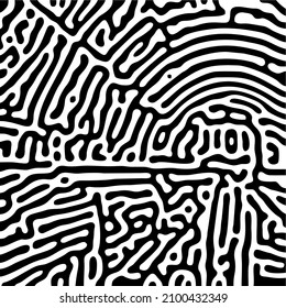 A vector illustration of a zebra pattern with irregular stripes