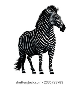 vector of illustration in zebra posing isolated on white