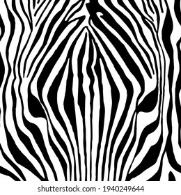 Vector illustration of zebra print on white background