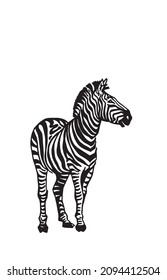 Vector illustration of zebra stands and watches distance, abstract skin , savanna wild animal 