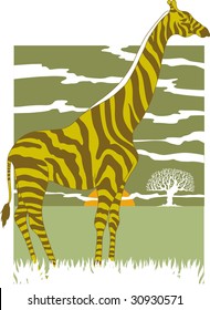 Vector illustration of zebra/Giraffe on sunset background