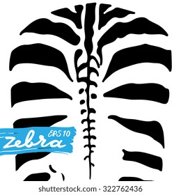 Vector illustration of zebra's ass