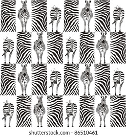 vector illustration of zebras and zebra skins