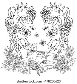 Vector illustration Zen Tangle a lioness under the vineyard. Dudling. Coloring book anti stress for adults. Black and white.