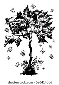 Vector illustration zentangle, young tree with butterflies. Coloring page Anti-stress for adults and children. Black and white.