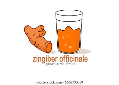 ilustración vectorial de una bebida Zingiber officinale (jengibre rojo) para evitar el virus de la corona.