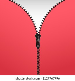 Vector illustration. Zippered lock and unlock. Zipper buttoned. Closed and open zipper. 