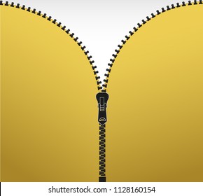 Vector illustration. Zippered lock and unlock. Zipper buttoned. Closed and open zipper.