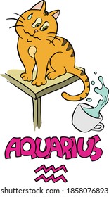 Vector illustration Zodiac cat Aquarius. For decoration, web-site, ceramics, cover, sticker