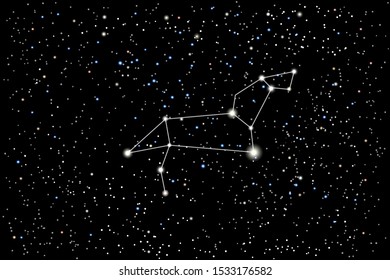 Vector illustration of the zodiac constellation Leo (Lion) on a starry black sky background. The astronomical cluster of stars in the constellation in the northern celestial hemisphere. 