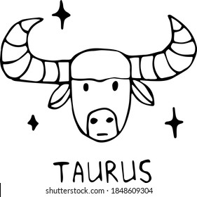 Vector illustration of the zodiac sign bull in the power of Doodle, black outline on an isolated white background. The concept of astrology, mysticism, divination, horoscopes. Can be used for books