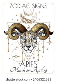 Vector illustration of zodiac signs. Aries in white and gold flowers in engraving style