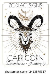 Vector illustration of zodiac signs. Capricorn in white and gold colors in engraving style