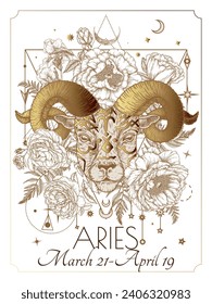 Vector illustration of zodiac signs in flowers. Aries in black and gold colors in engraving style