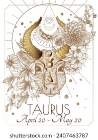 Vector illustration of zodiac signs in flowers. Taurus in white and gold colors in engraving style