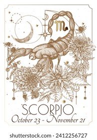 Vector illustration of zodiac signs in flowers. Scorpio in white and gold colors in engraving style	