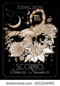 Vector illustration of zodiac signs in flowers. Scorpio in black and gold colors in engraving style	