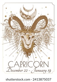 Vector illustration of zodiac signs in flowers. Capricorn in white and gold colors in engraving style	