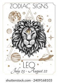 Vector illustration of zodiac signs. Leo in white and gold colors in engraving style